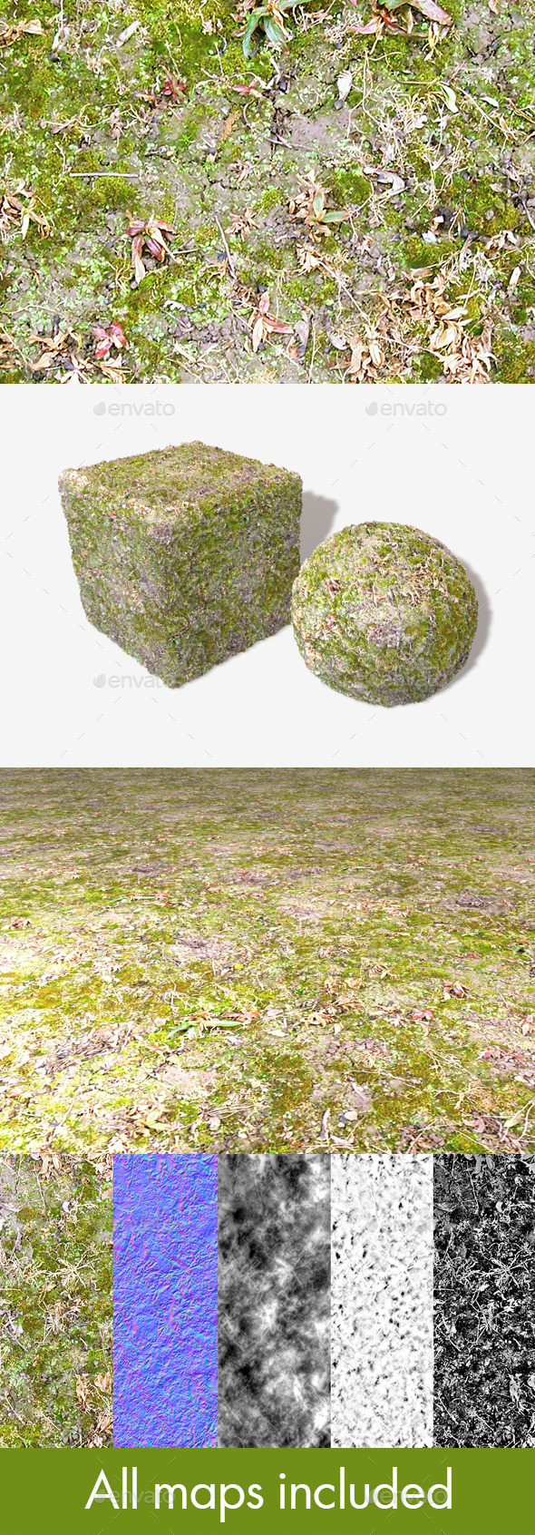3DOcean Wet Moss Seamless Texture 11734857 3DOcean Wet Moss Seamless Texture 11734857