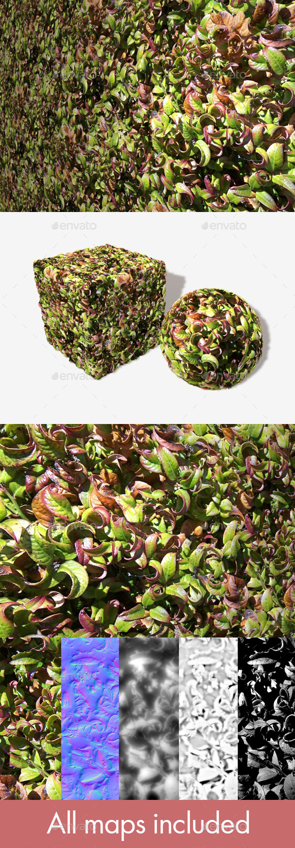 3DOcean Curly Leaves Seamless Texture 11747287 3DOcean Curly Leaves Seamless Texture 11747287