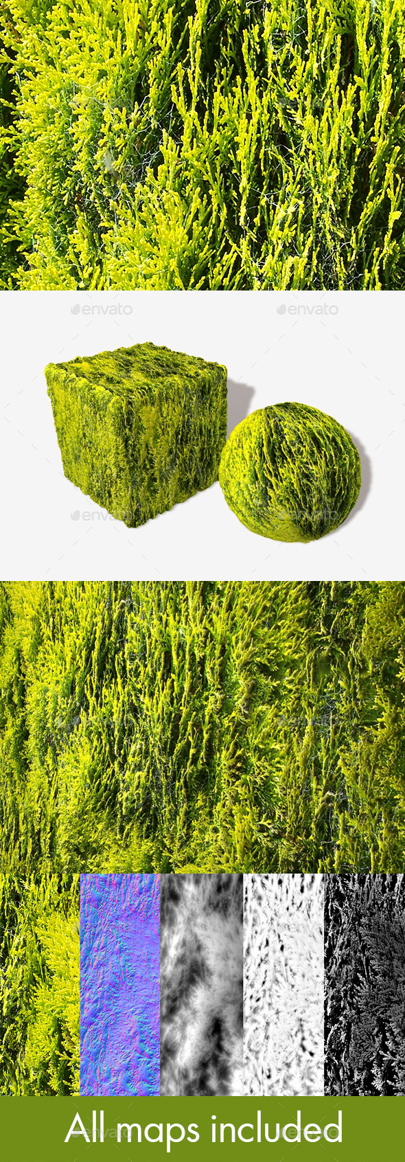 3DOcean Fir Cobwebs Seamless Texture 11749138 3DOcean Fir Cobwebs Seamless Texture 11749138