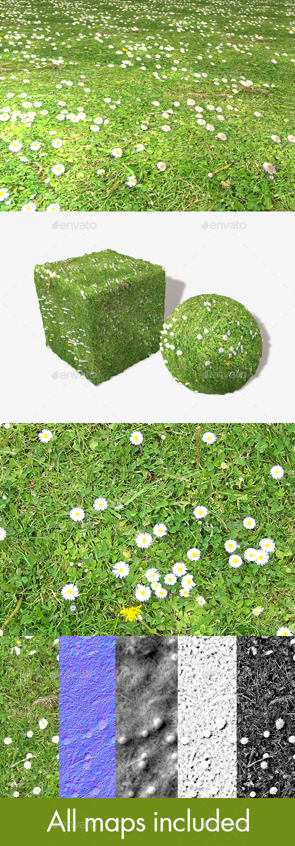 3DOcean Daisy Lawn Seamless Texture 11765669 3DOcean Daisy Lawn Seamless Texture 11765669