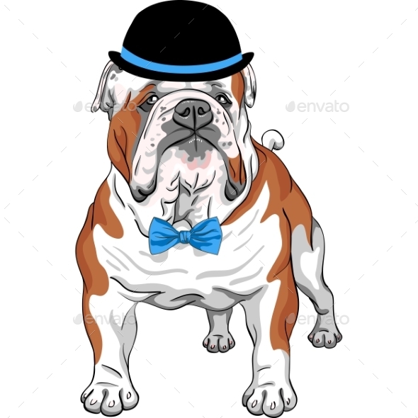 GraphicRiver Hipster Dog English Bulldog Breed 11770162 GraphicRiver Hipster Dog English Bulldog Breed 11770162