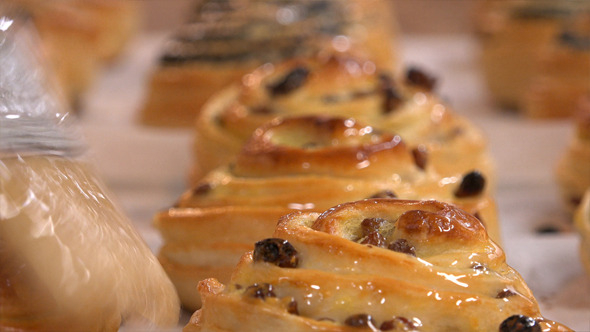 Raisin Bun Raisin Bun