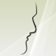 CodeCanyon profile picture for @usb