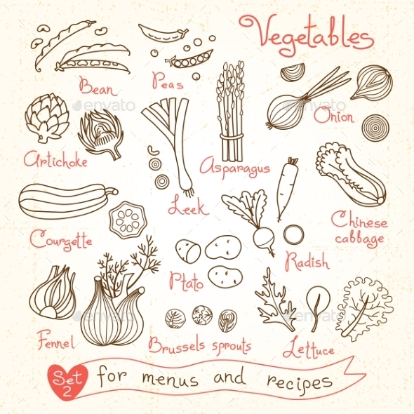 GraphicRiver Set Drawings Of Vegetables For Design Menus 11775133 GraphicRiver Set Drawings Of Vegetables For Design Menus 11775133