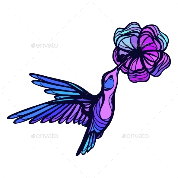 GraphicRiver Flying Tropical Hummingbird On White Background 11776948 GraphicRiver Flying Tropical Hummingbird On White Background 11776948