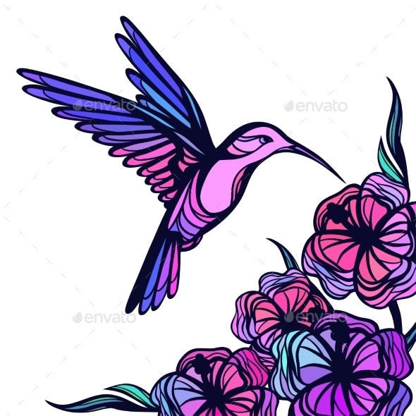 GraphicRiver Flying Tropical Hummingbird On White Background 11776996 GraphicRiver Flying Tropical Hummingbird On White Background 11776996