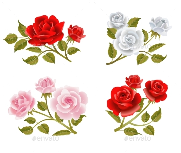 GraphicRiver Rose Buttonholes 11780039 GraphicRiver Rose Buttonholes 11780039