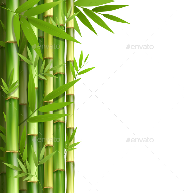 GraphicRiver Green Bamboo Grove Isolated on White Background 11789555 GraphicRiver Green Bamboo Grove Isolated on White Background 11789555