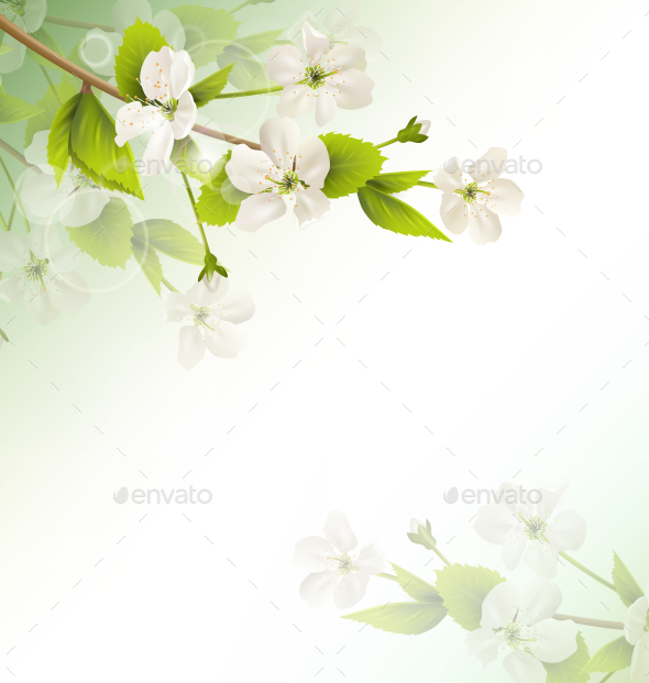 GraphicRiver Cherry Branch with White Flower on Green Background 11789647 GraphicRiver Cherry Branch with White Flower on Green Background 11789647