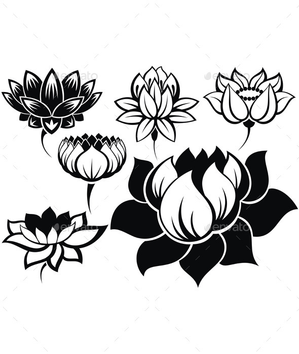 GraphicRiver Collection of Flowers 11790419 GraphicRiver Collection of Flowers 11790419
