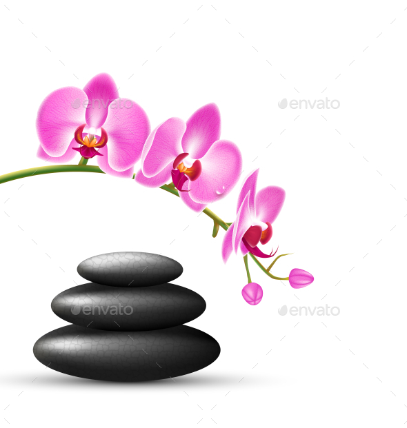 GraphicRiver Stack of Spa Stones with Pink Orchid Flowers 11797846 GraphicRiver Stack of Spa Stones with Pink Orchid Flowers 11797846