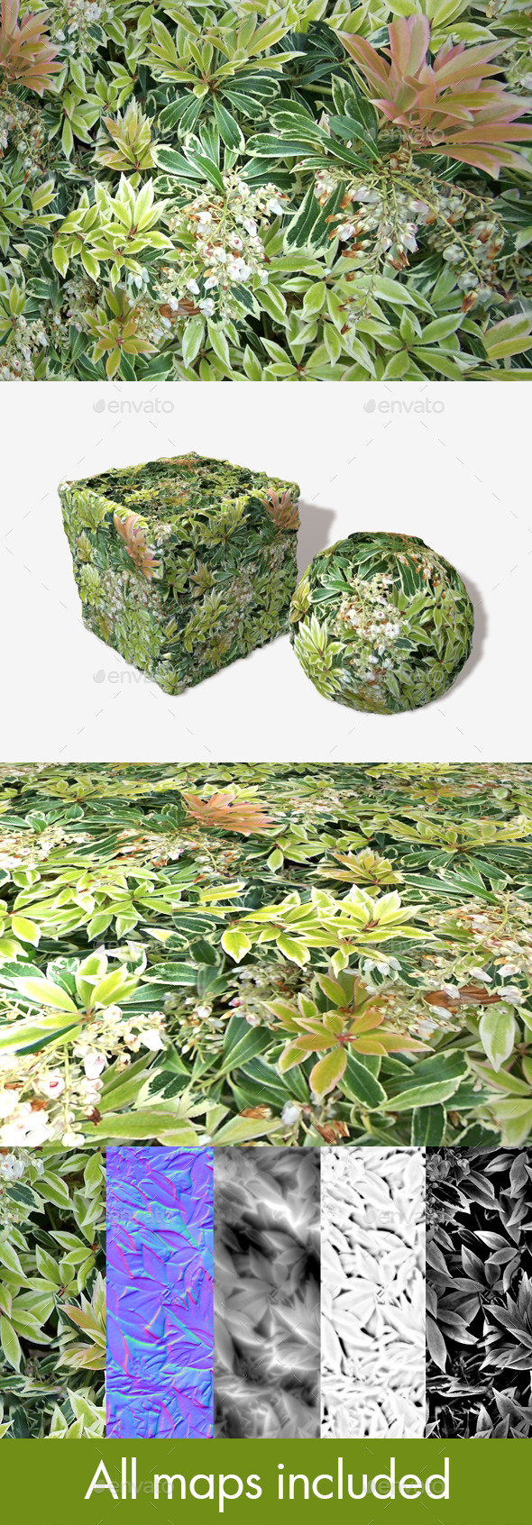 3DOcean Shrubbery Seamless Texture 11824906 3DOcean Shrubbery Seamless Texture 11824906