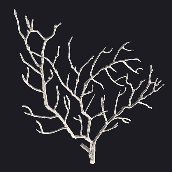 3DOcean Metal Tree Branch Wall Sculpture 11807560 3DOcean Metal Tree Branch Wall Sculpture 11807560
