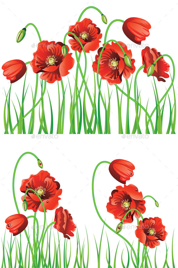 GraphicRiver Poppy Flowers with Grass 11850988 GraphicRiver Poppy Flowers with Grass 11850988
