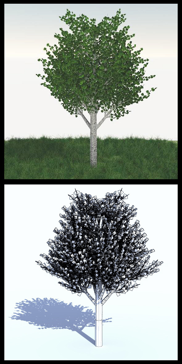 3DOcean Birch Tree 11856421 3DOcean Birch Tree 11856421