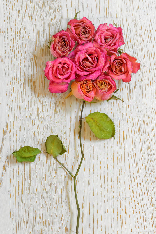 Bouquet of dried roses (Misc) Photo Download