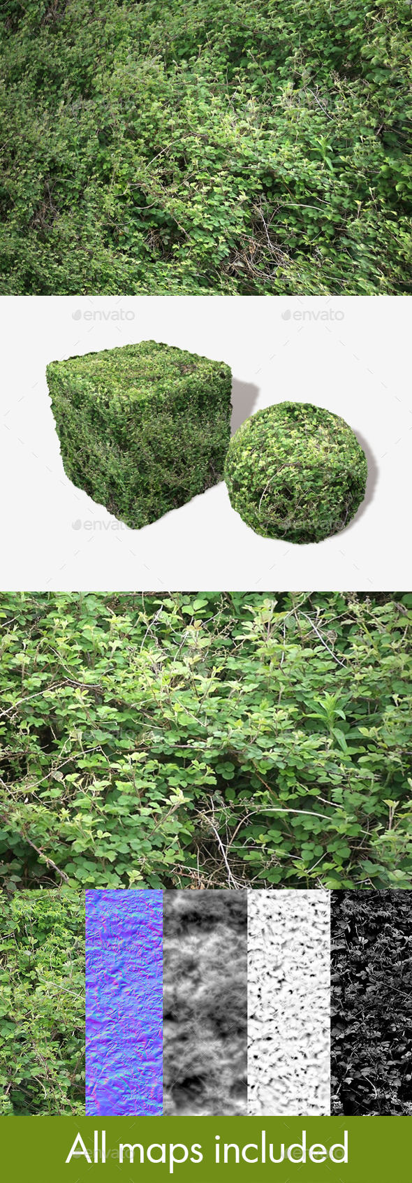 3DOcean Brambles Background Seamless Texture 11860077 3DOcean Brambles Background Seamless Texture 11860077