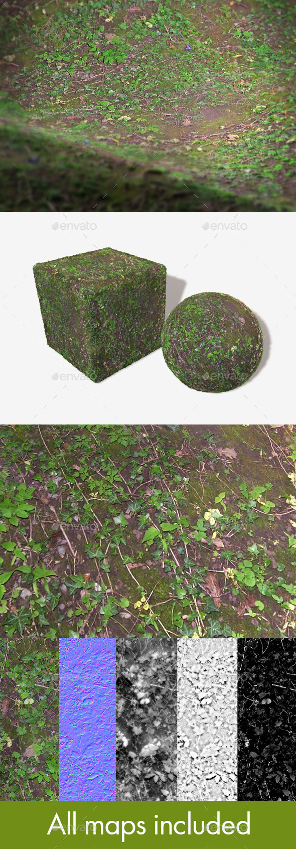 3DOcean Jungle Ground Seamless Texture 11860090 3DOcean Jungle Ground Seamless Texture 11860090