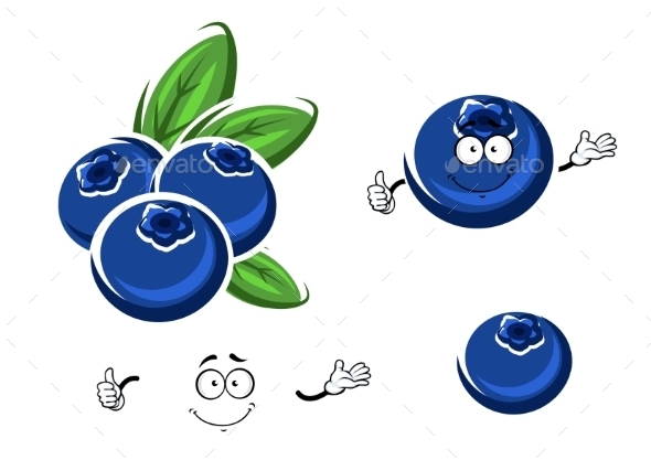 GraphicRiver Cartoon Fresh Blueberry Fruits On White 11863423 GraphicRiver Cartoon Fresh Blueberry Fruits On White 11863423