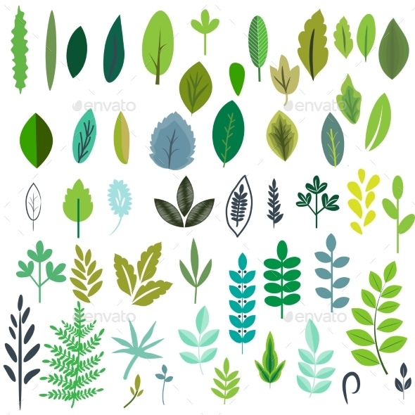 GraphicRiver Leaves Set 11866094 GraphicRiver Leaves Set 11866094