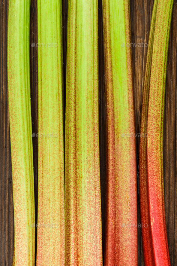 rhubarb (Misc) Photo Download