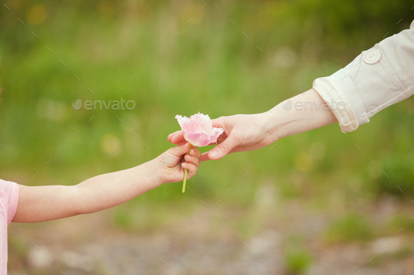 Mother day (Misc) Photo Download