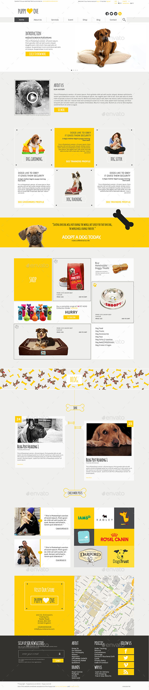 GraphicRiver Puppy Love Newsletter 11870615 GraphicRiver Puppy Love Newsletter 11870615