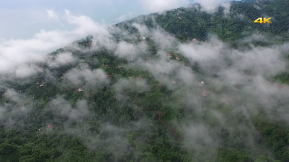 Aerial Flying Over Above Forest on Clouds Fog 2 Aerial Flying Over Above Forest on Clouds Fog 2