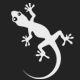 GeckoSystems