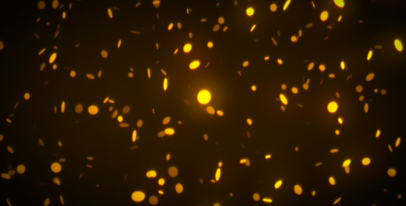 Glitter Celebrate Glitter Celebrate