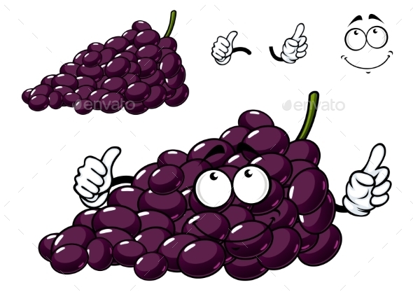 GraphicRiver Cartoon Purple Grape Fruit Character 11891557