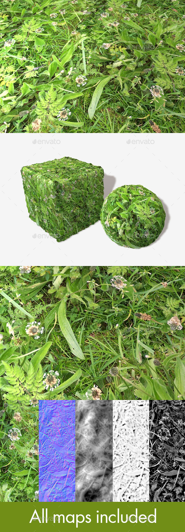 3DOcean Riverbank Weeds Seamless Texture 11904047 3DOcean Riverbank Weeds Seamless Texture 11904047