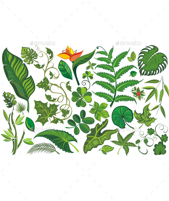 GraphicRiver Set of Tropical Leaves 11909491