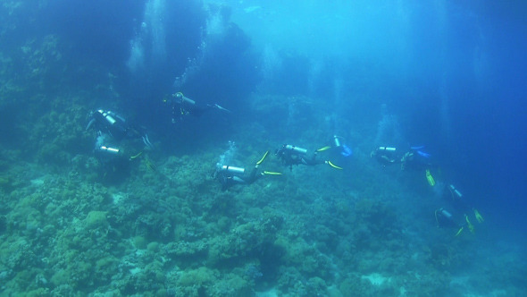 Group of Divers Swims Over Coral Reefs Group of Divers Swims Over Coral Reefs