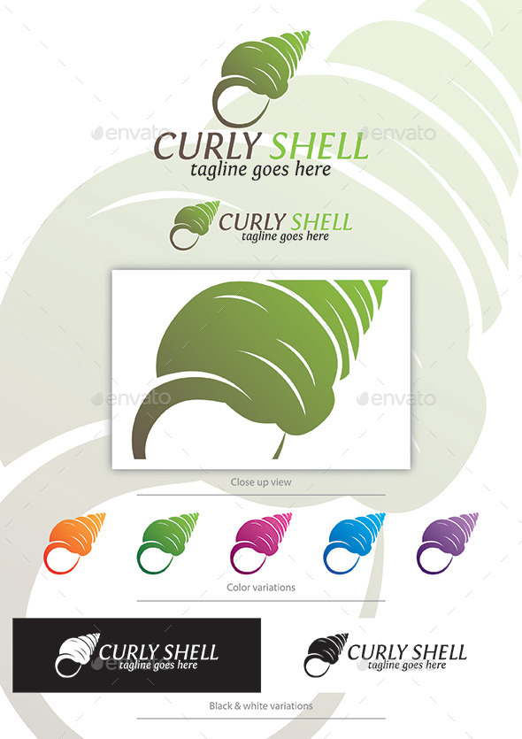 GraphicRiver Curly Shell 11928690 GraphicRiver Curly Shell 11928690