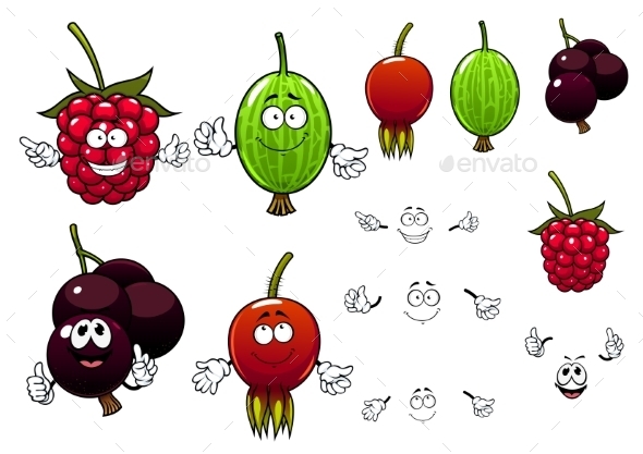 GraphicRiver Raspberry Currants Gooseberry and Briar Berries 11944584 GraphicRiver Raspberry Currants Gooseberry and Briar Berries 11944584