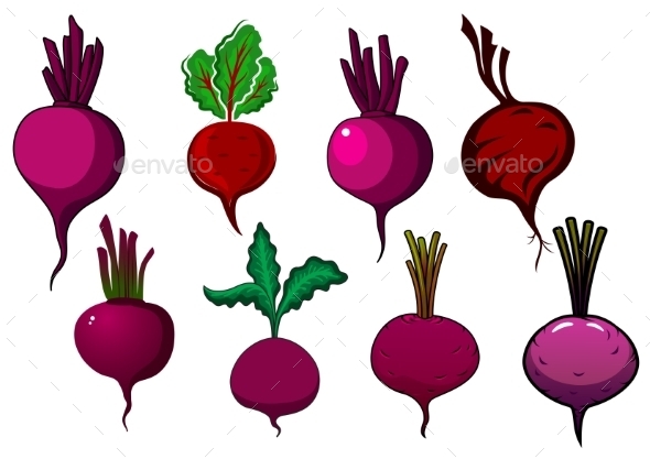 GraphicRiver Purple Beets Vegetables With Stalks And Leaves 11959540 GraphicRiver Purple Beets Vegetables With Stalks And Leaves 11959540