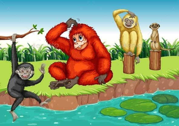 GraphicRiver Monkeys 11964245 GraphicRiver Monkeys 11964245