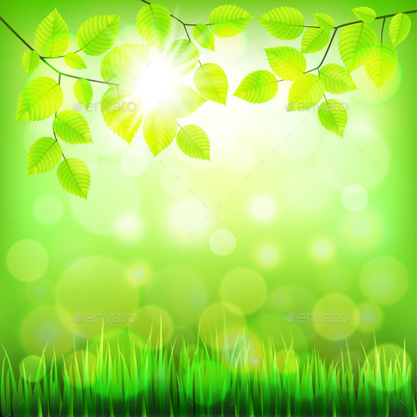 GraphicRiver Summer Nature Background with Green Foliage 11972677 GraphicRiver Summer Nature Background with Green Foliage 11972677