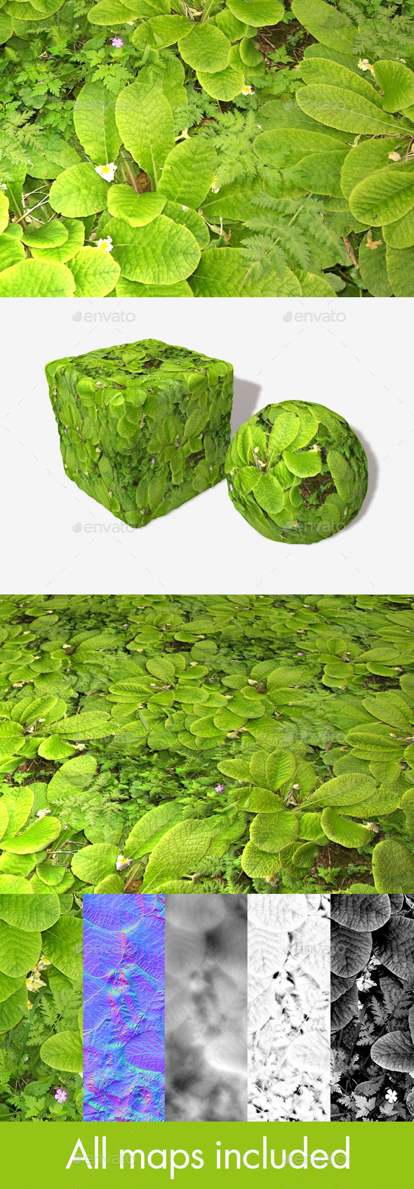3DOcean Weed Ground Coverage Seamless Texture 11981668 3DOcean Weed Ground Coverage Seamless Texture 11981668