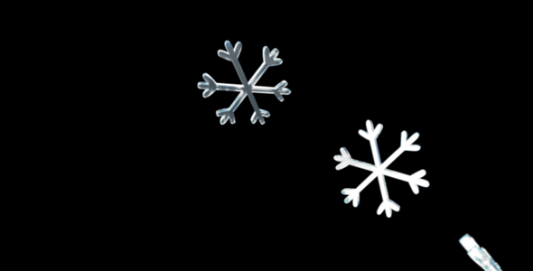 Snow Flakes Snow Flakes