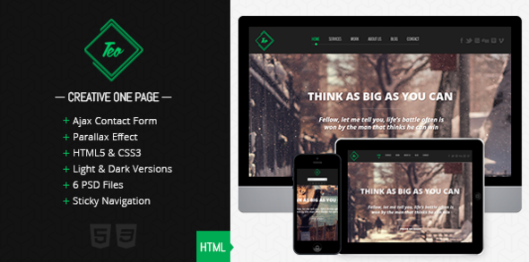 Teo - Responsive Parallax Single Page Portfolio