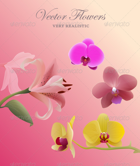 Flowers set Flowers set