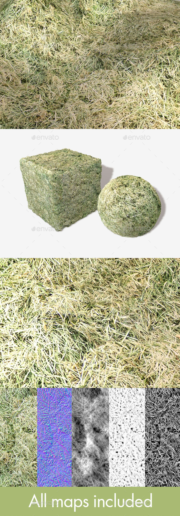 Cut Grass Seamless Texture Cut Grass Seamless Texture