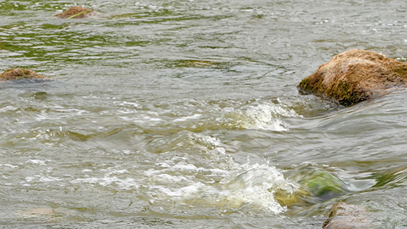 VideoHive Fast Flowing River With Stones In The Water 12157558 VideoHive Fast Flowing River With Stones In The Water 12157558