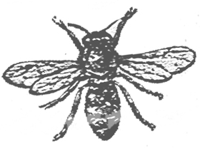 Blaise74