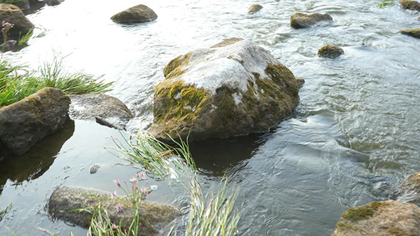 VideoHive Walk On The Stones In The Mountain River 12193758 VideoHive Walk On The Stones In The Mountain River 12193758
