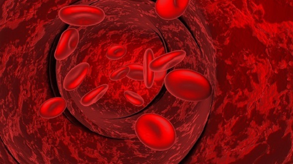 3DOcean Blood cells in a vein 12210832 3DOcean Blood cells in a vein 12210832