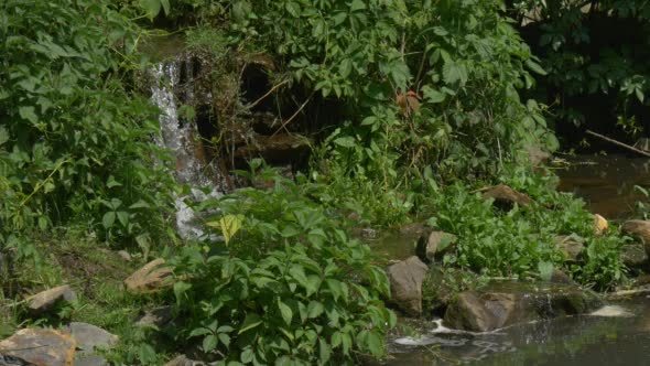 VideoHive Waterfall in The Park River Banks Sunny 12212784 VideoHive Waterfall in The Park River Banks Sunny 12212784