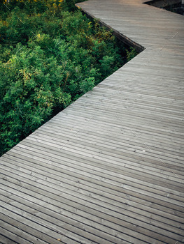 Wood architecture in a green park